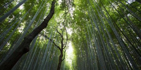 如何在 T-SQL 中使用正则表达式实现复杂字符串匹配与提取