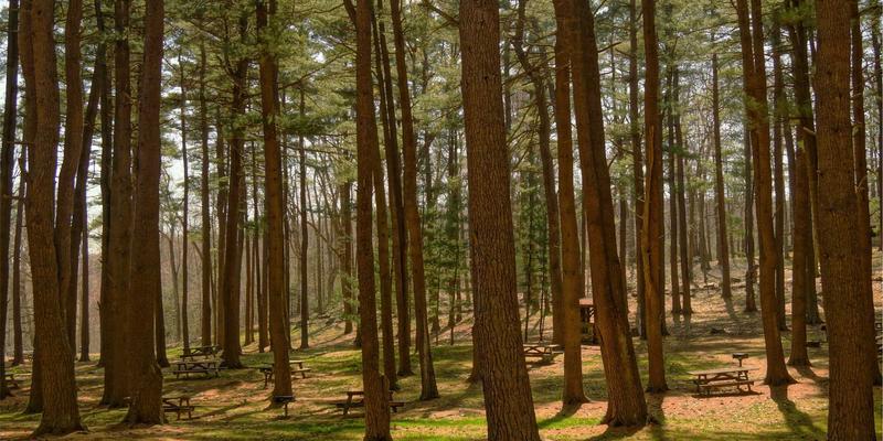 为什么使用 :global 修改 Antd 样式无效?