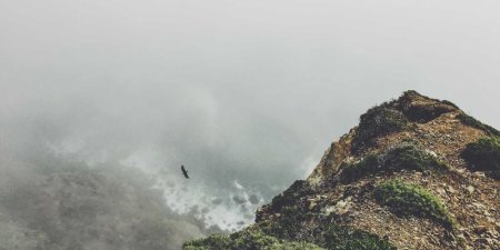 为什么JavaScript中要用_this保存this？函数绑定与_this关键字深度解析