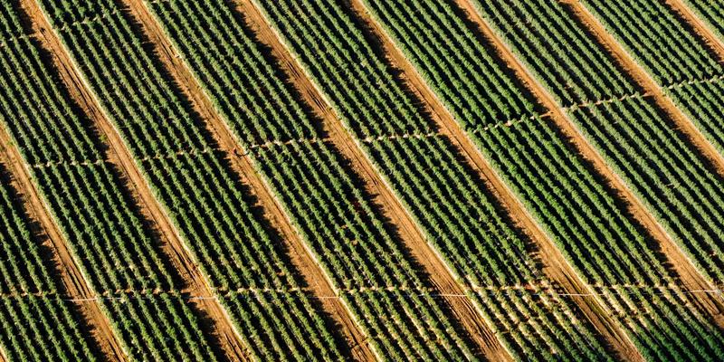 内容为王的时代,高质量的文章写作技巧你知道吗