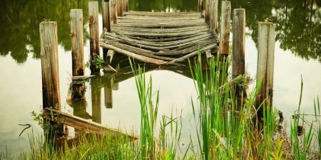 HTML5怎么用JS的focus()方法让input和textarea获取文本聚焦