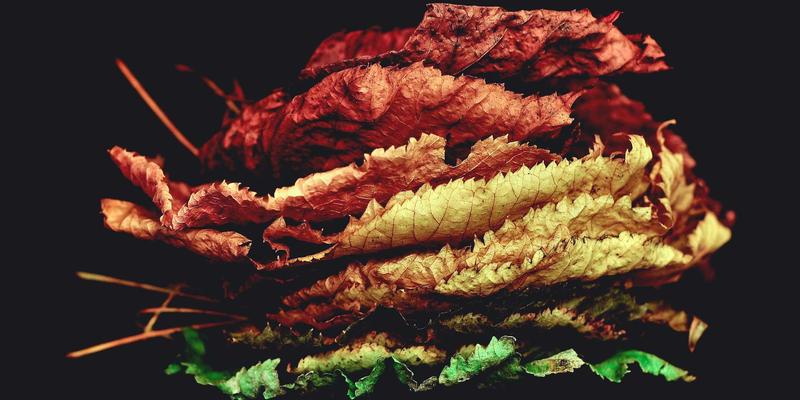 C#如何转换图片格式?从Bitmap到JPG_PNG_WEBP的完整用法总结