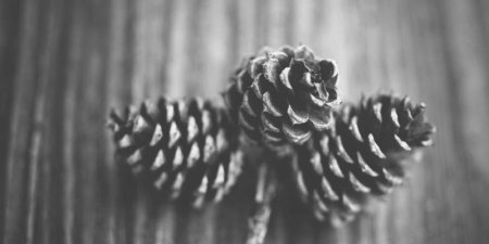 浏览器如何执行JS代码？从解析到渲染的完整流程解析