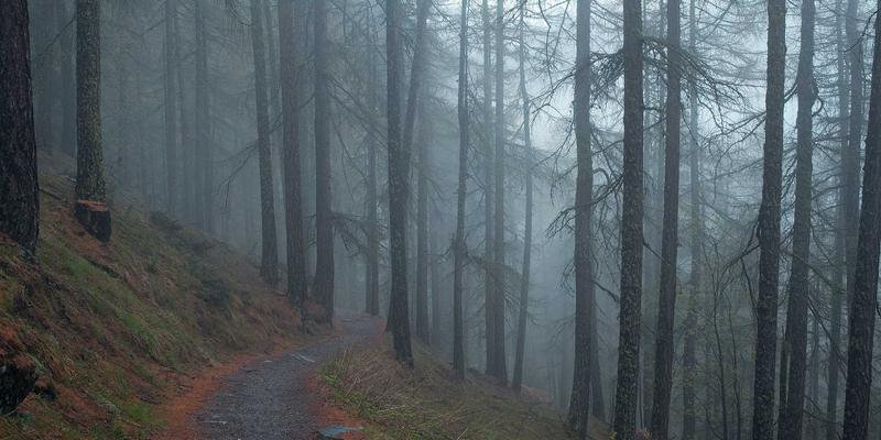 Linux find命令怎么按文件名查找XML文件并定位位置