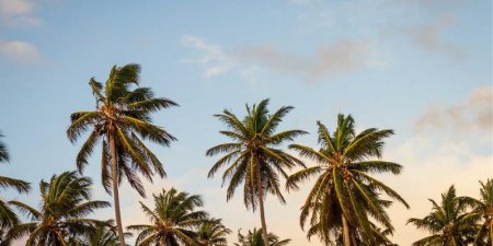 如何在Golang中测试HTTP请求并验证响应