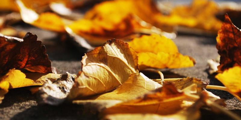 想系统学习C++派生类?有哪些经典技术文章值得一读