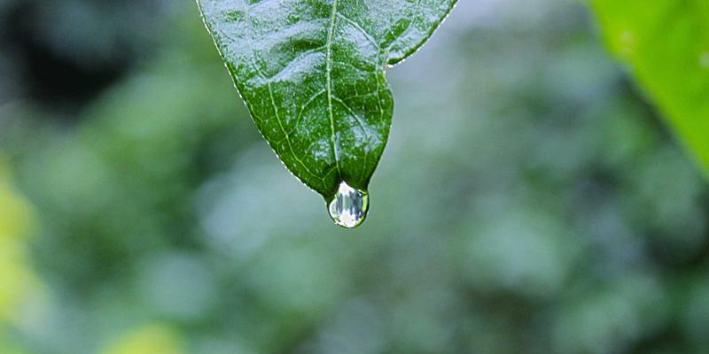 Agent集成测试要怎么做才能端到端验证工作流正确性