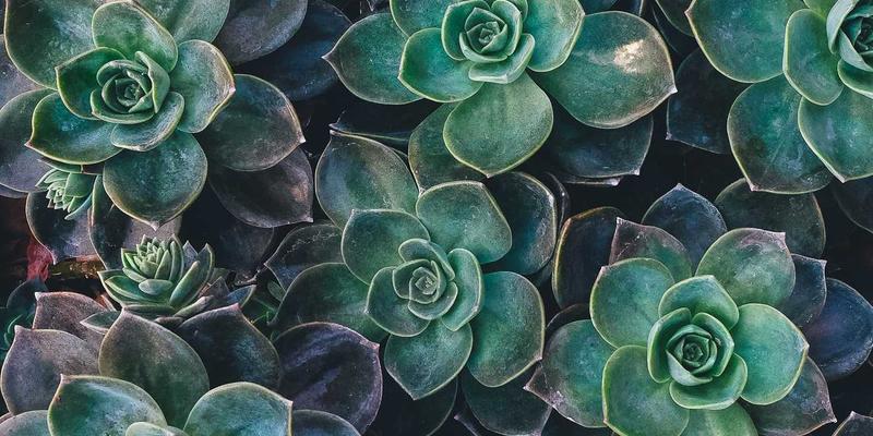 Kubernetes有状态服务数据复制延迟该怎么有效监控?