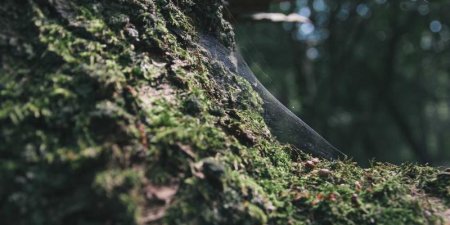 uWSGI配置与优化怎么做才能提升Python应用性能？