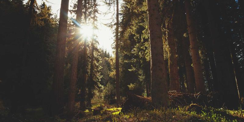 如何在macOS中使用CVPixelBufferLockBaseAddress安全锁定与解锁像素缓冲区?
