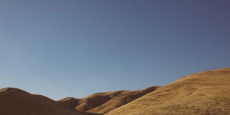 为什么大脑会产生记忆幻觉？认知心理学如何解释虚假记忆的形成机制