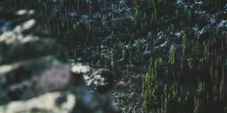 Python如何制作科学计算笔记本？Jupyter魔法命令详解