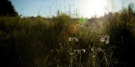 Oracle数据库RAC集群中ACFS文件系统复制应该如何配置与实施？