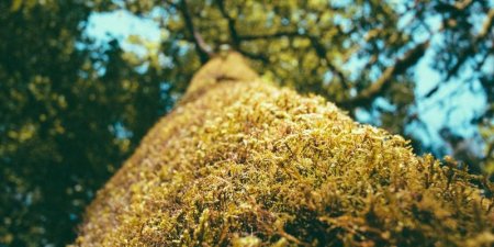 PostgreSQL逻辑复制如何实现过滤策略并保证高可用？