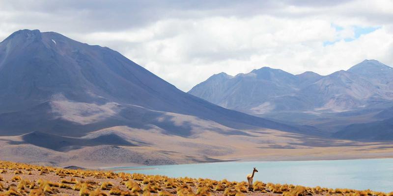 如何解决风格强度不够的问题:自定义提示词增强风格特征的方法有哪些