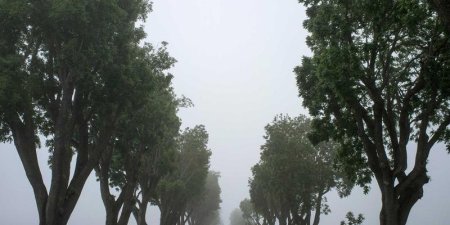 如何在Apache中同时部署RSA与ECC双证书提升安全性与兼容性？