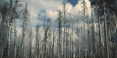 什么是仿真到现实的迁移学习？3D生成机器人如何实现Sim-to-Real落地