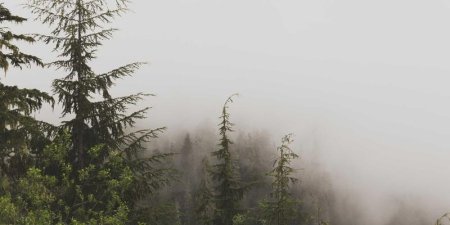 linux top命令无法使用怎么办
