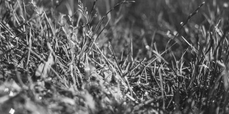 如何解决Agent迁移学习中的负迁移问题：选择性策略详解