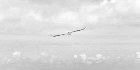 Spring Boot 整合 Spring Security 如何实现 EnableRememberMe 自动登录？