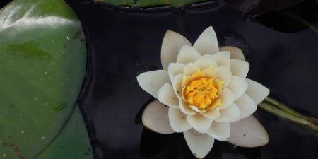 MosaicML MPT大模型如何借助CDN实现边缘加速部署？