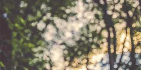 XML处理中的内存泄漏如何避免？