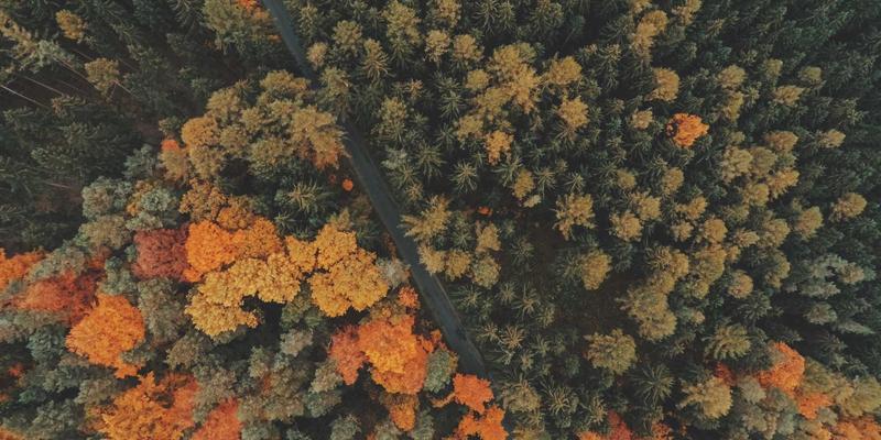 R语言如何处理网络流媒体的ICE候选收集与DTLS-SRTP加密？