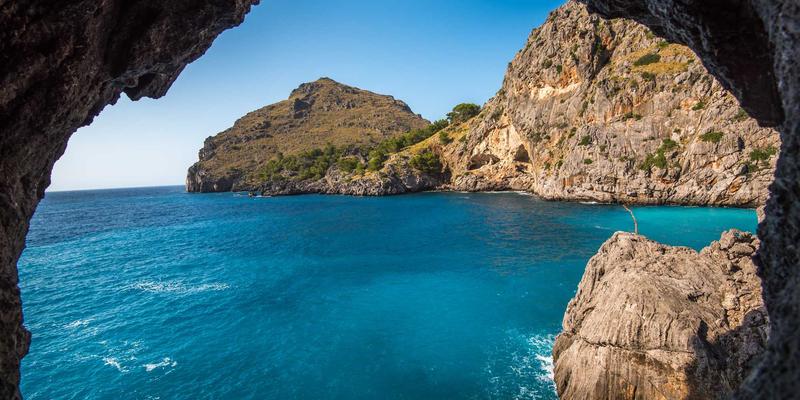 如何用WPS灵犀把一句话大纲快速生成专业PPT?职场黑科技详解