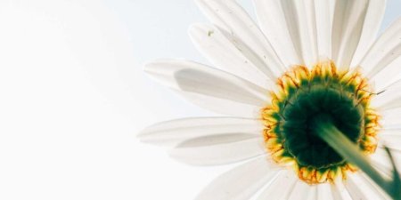 MySQL并发插入大量数据怎么处理？高效批量写入技巧解析