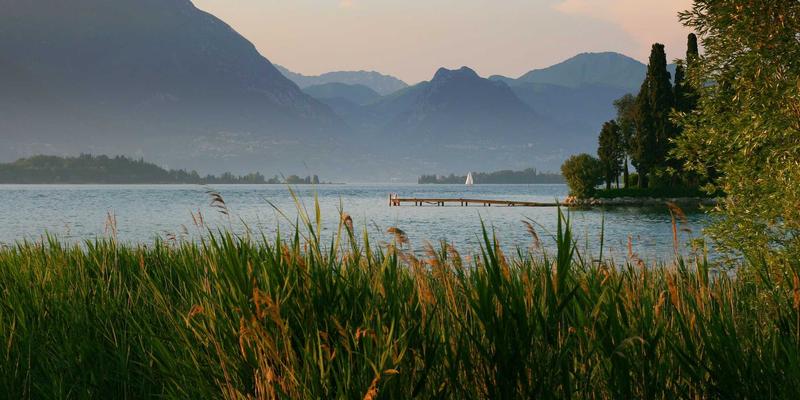 Azure CDN如何选型?Verizon、Akamai与Microsoft标准版深度对比