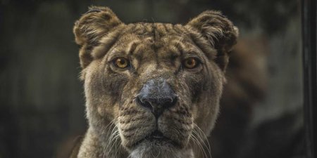 网站关键词推广怎么做才能真正带动营销效果？