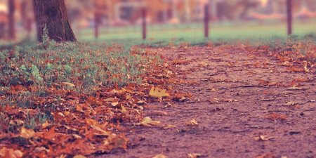 CDN 环境下如何正确提交与更新 Sitemap 保障搜索引擎收录？